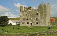 Irlande - Co Clare - The Burren - Lemaneagh (ou Leamaneh) Castle (2)